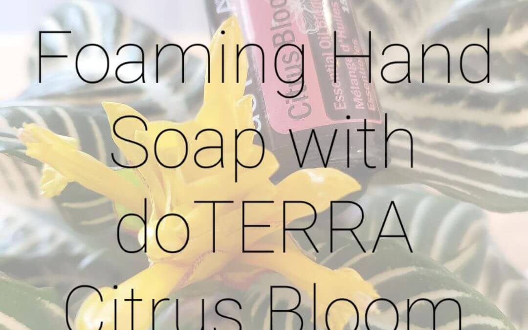 Homemade Foaming Hand Soap & Laundry Detergent