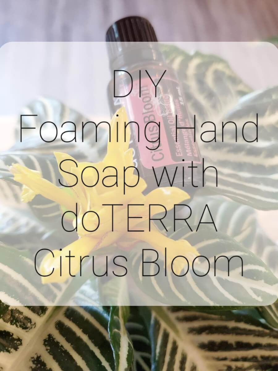 Homemade Foaming Hand Soap & Laundry Detergent Chiro By The Bay