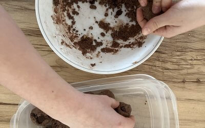 Bone Broth Hot Chocolate & Protein Balls